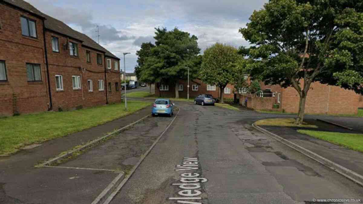 Man dies in hospital after being found in Northumberland street with serious head injuries