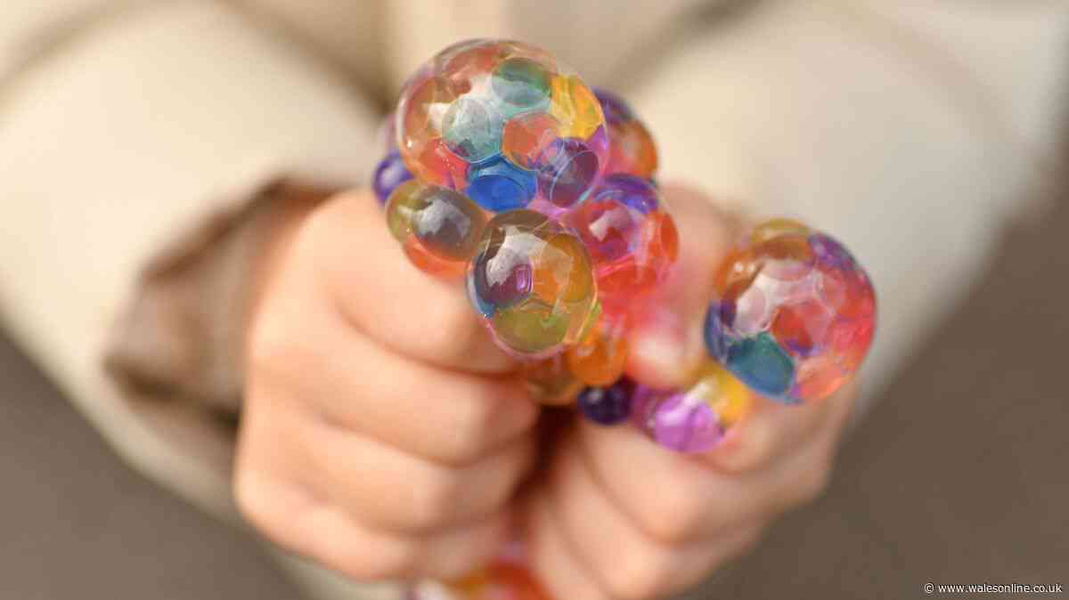 Urgent squishy toy needle danger warning across UK in new public safety alert