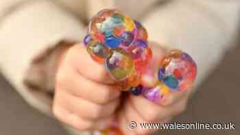 Urgent squishy toy needle danger warning across UK in new public safety alert