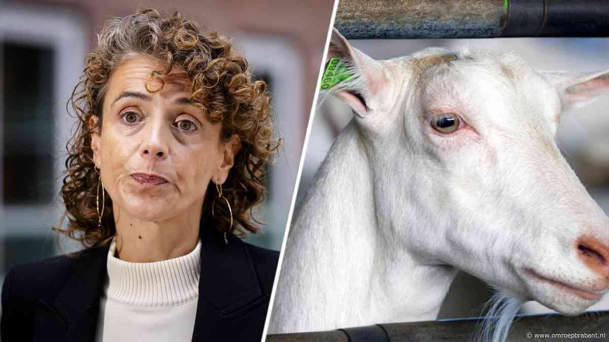 Na jaren eindelijk excuses van minister voor gedupeerden Q-koorts