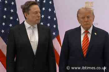 Elon Musk Roasted for 'Not Being Able To Afford Barber' as Awkward Clips With Donald Trump Emerge