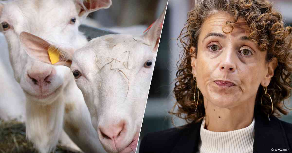 Minister biedt Q-koortspatiënten excuses aan: ‘Hier wacht ik al twintig jaar op’