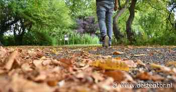 Herfstvakantie in Deventer: dit is de weersverwachting