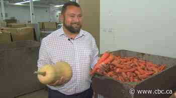 Harvest Manitoba gets $5M donation for new food transformation centre