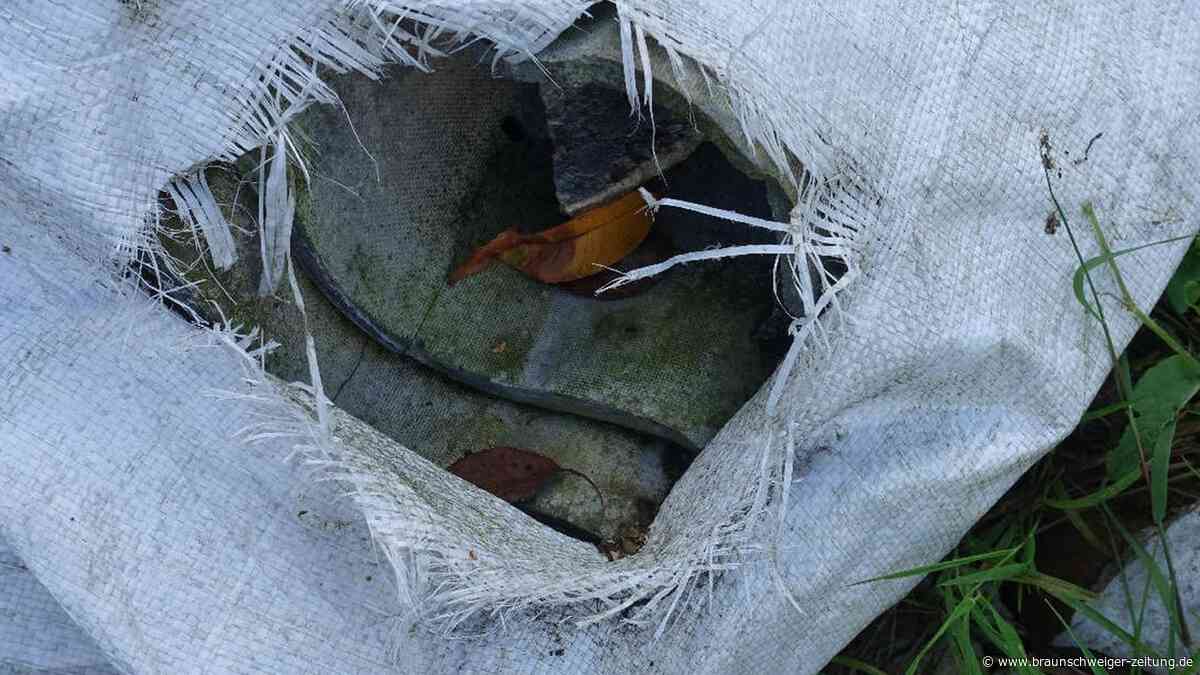 Asbest im Großen Moor: Wilder Müll kostet Gifhorns Steuerzahler Tausende
