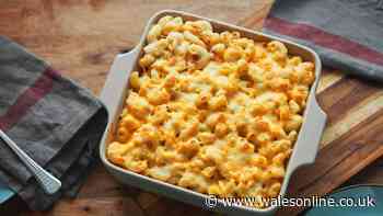 Mary Berry's creamy mac and cheese recipe is perfect for the entire family
