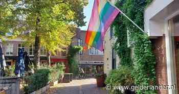 Coming In Week en Roze Jaar in Arnhem: hier haal je een gratis regenboogvlag