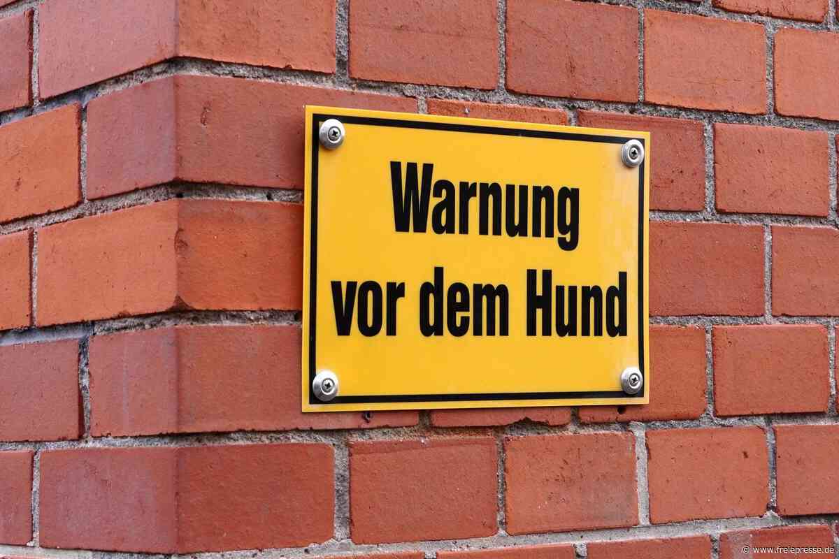 45-Kilo-Hund beißt Monteur in Chemnitz: „Jetzt habe ich Angst vor Hunden“