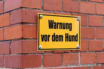 45-Kilo-Hund beißt Monteur in Chemnitz: „Jetzt habe ich Angst vor Hunden“