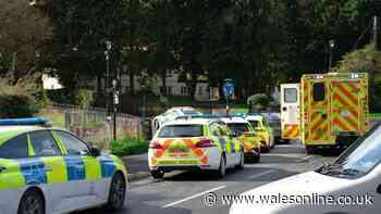 Man dies during incident near Chirk Aqueduct