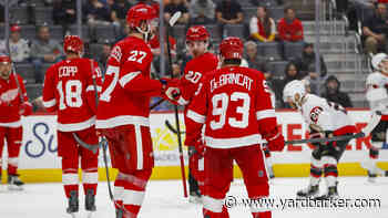 Red Wings Dissonance Between Team and Fans May Be Beneficial