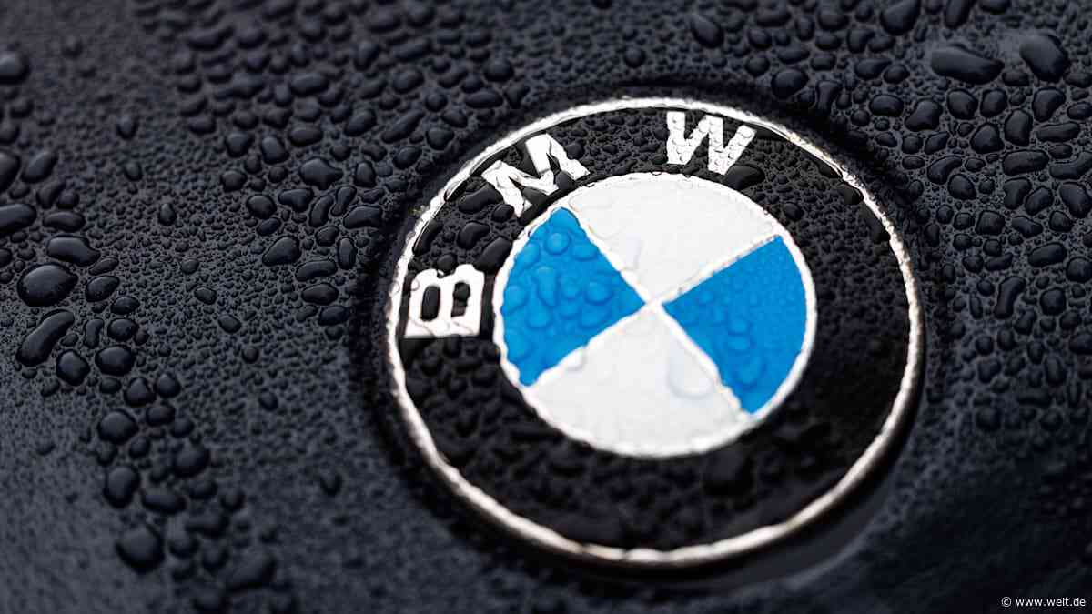 Kein BMW für die AfD – die heikle Grenze in der Dienstwagen-Affäre