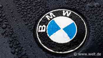 Kein BMW für die AfD – die heikle Grenze in der Dienstwagen-Affäre