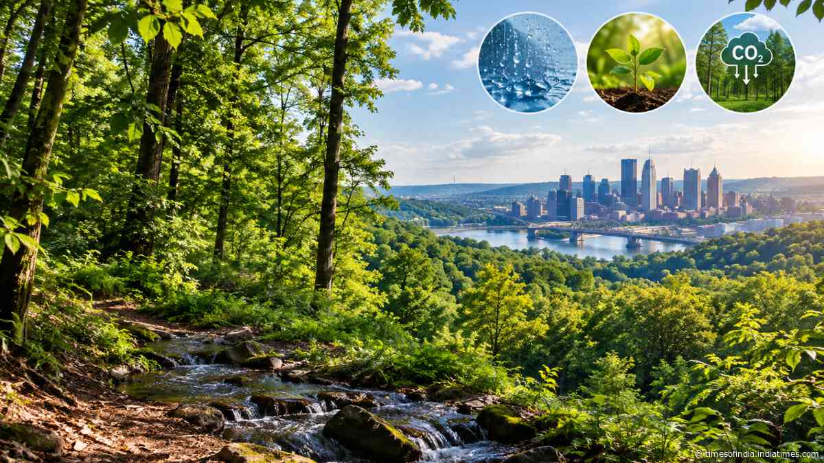 Pennsylvania awards $277,200 to protect 27 acres; woodland can absorb 22.5M gallons of rainwater