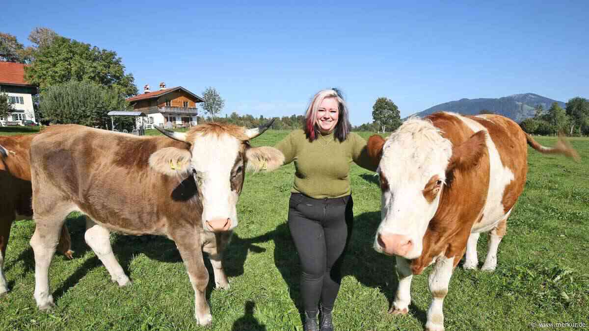 Bäuerin (29) aus Oberbayern etabliert besonderes Projekt an ihrem Hof – Ochse „Schlumpfi“ spielt eine tragende Rolle