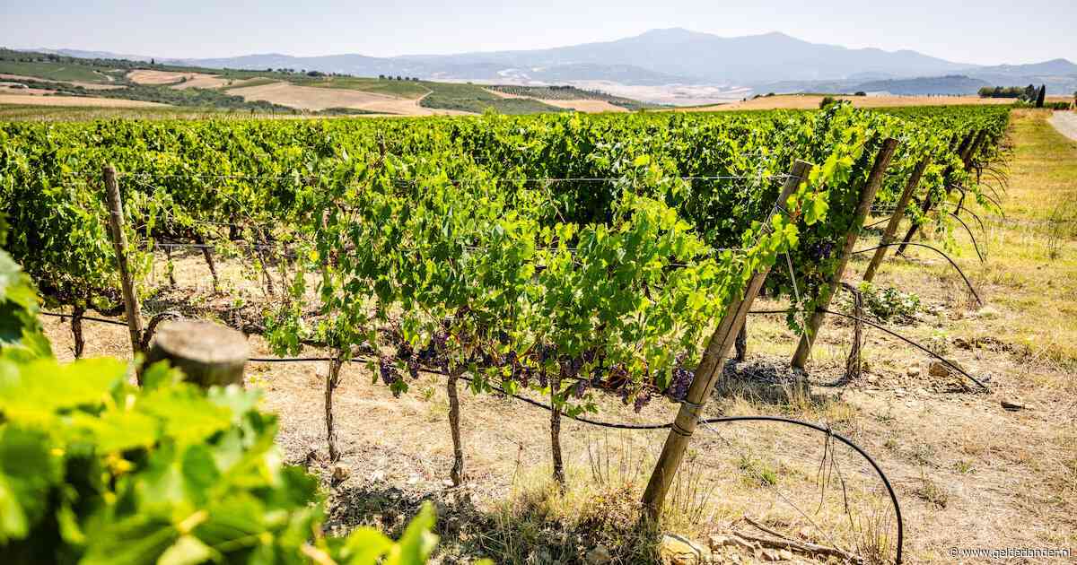 Inbrekers maken 30.000 flessen buit bij overval op wijnhuis in Italiaanse regio Toscane