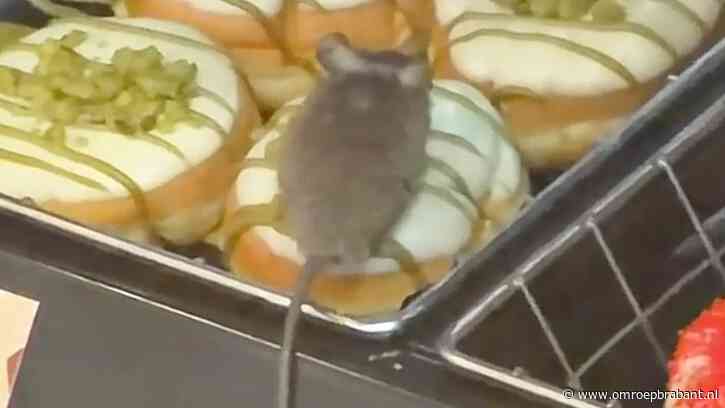 Muis in vitrine van Eindhovense donutzaak: video gaat de wereld over