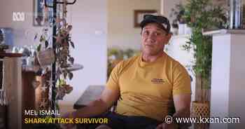 Australian shark attack survivor says predator was 'winking back' at him as he fought it off