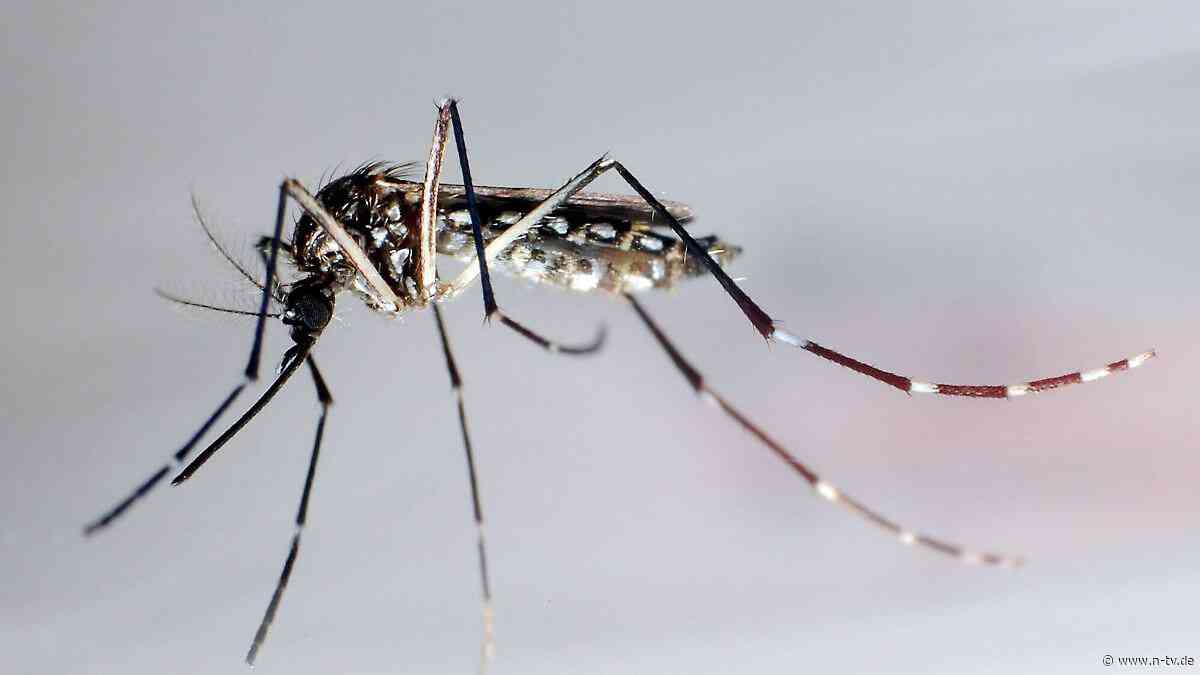 Erster Todesfall durch Virus: Dengue-Fieber breitet sich in Florida rasant aus