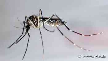 Erster Todesfall durch Virus: Dengue-Fieber breitet sich in Florida rasant aus