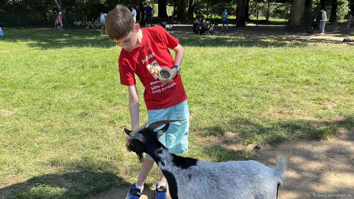 Autistischer Junge (11) läuft aus der Schule weg – bis auf die Schnellstraße