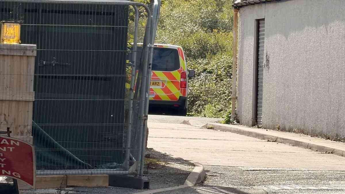 Police make new arrest after pregnant woman found dead in burning van in Prestatyn