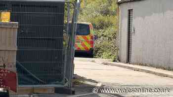 Police make new arrest after pregnant woman found dead in burning van in Prestatyn