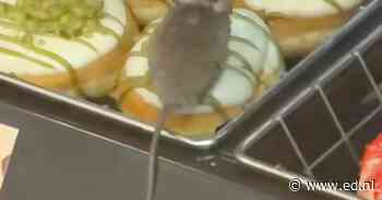 Klant filmt muis op donut bij Dunkin’ in Eindhoven, video tikt miljoenen views aan
