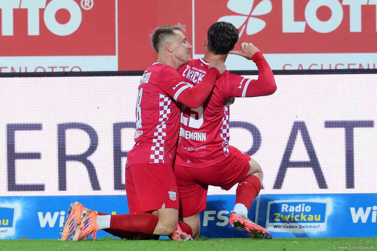 Fußball-Regionalligist FSV Zwickau sichert sich mit Magerkost wichtigen Heimsieg