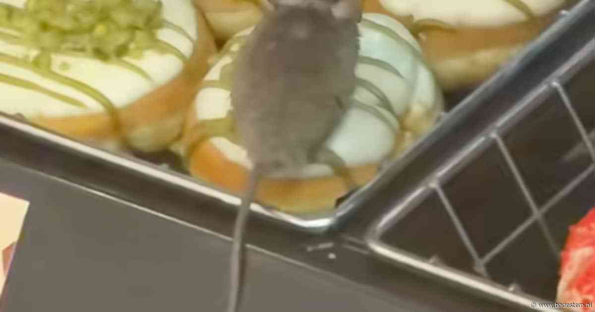 Klant filmt muis op donut bij Dunkin’ in Eindhoven, video tikt miljoenen views aan