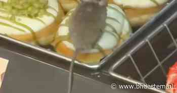 Klant filmt muis op donut bij Dunkin’ in Eindhoven, video tikt miljoenen views aan