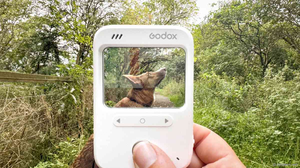 Godox C100 Review: A Camera With No Rear Screen and No Pressure