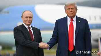 Trump: Russia will supply US with diesel