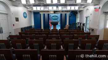 Who is Katie Zacharia, potential new White House press secretary?