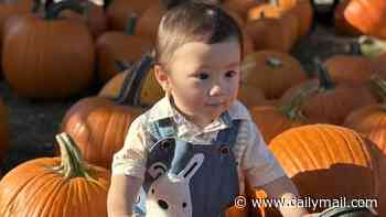 Tragedy as adorable boy, 2, is run over and killed while picking pumpkins with his family