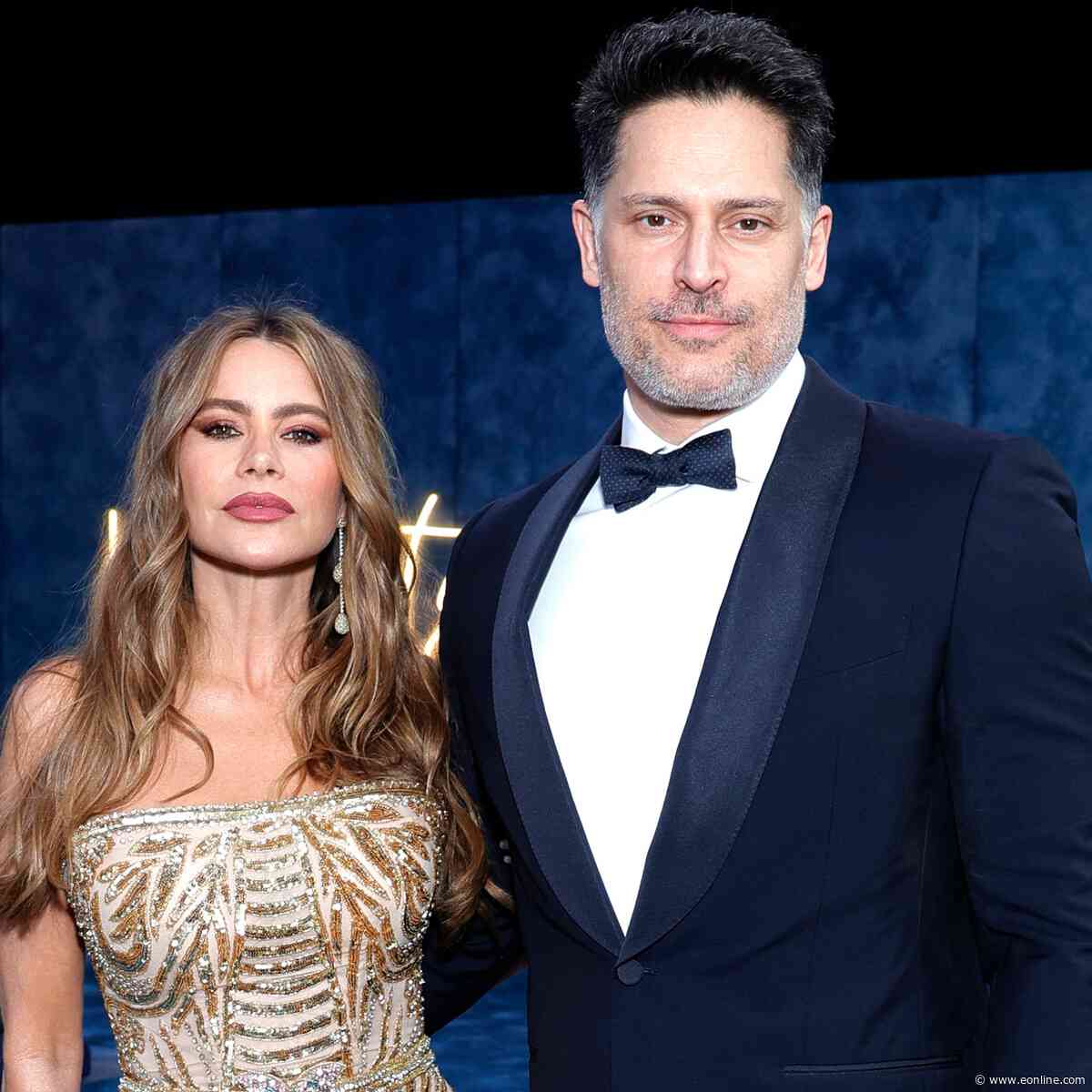 Sofía Vergara Shares Cryptic Post After Joe Manganiello Admission