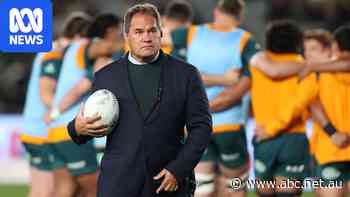 Wallabies join former boss Rennie in mutual admiration society