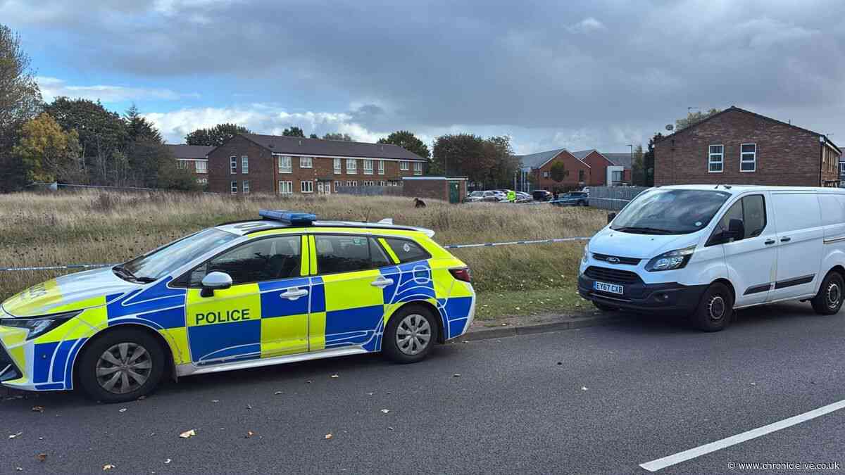 Man in his 20s fighting for life after reportedly being attacked by a 'number of people' in Wallsend