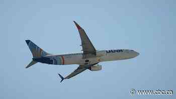 FlyDubai co-pilot sought to crash plane into Tel Aviv's main airport: UAE