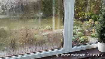 Which? expert warns of three costly mistakes when treating condensation