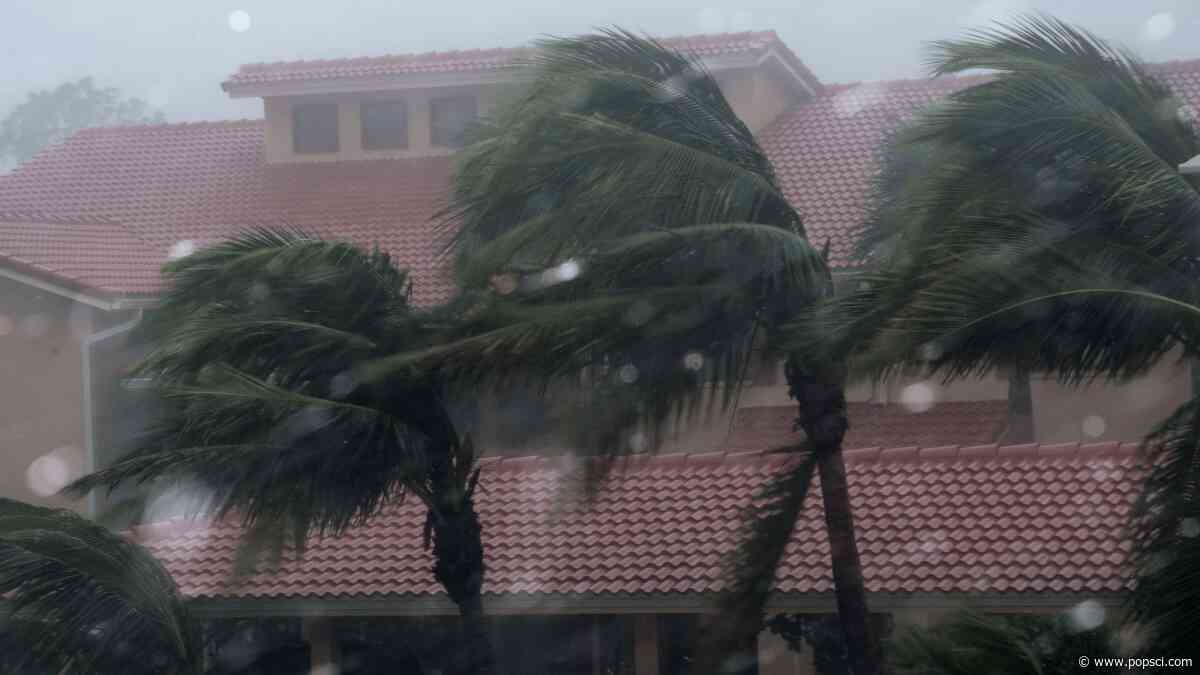 Wavy-shaped homes could limit damage from hurricane winds