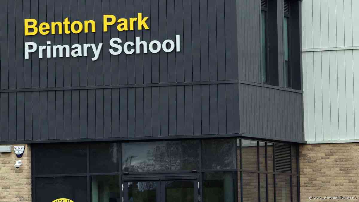 Hepatitis A update one week after cases confirmed at Newcastle schools