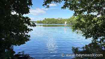 St. Petersburg considers motorized vessel ban for Coquina Key Park lagoon