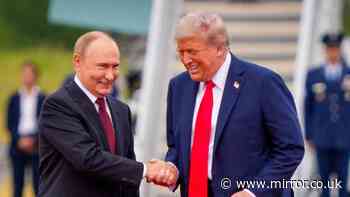 Trump blasted as 'weak' by Zelensky after he takes 5million tonnes of diesel from Russia in Putin sweetheart deal