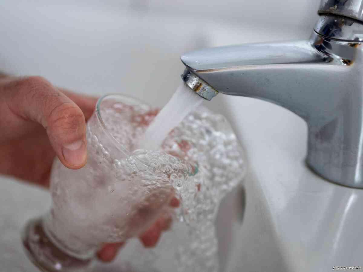 Bakterien im Trinkwasser von Wesseling und Bornheim