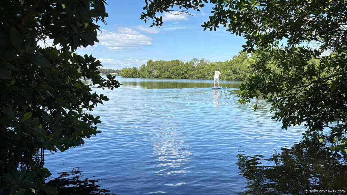 St. Petersburg considers motorized vessel ban for Coquina Key Park lagoon