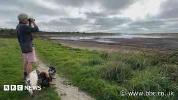 Lake too shallow for water sports as levels drop