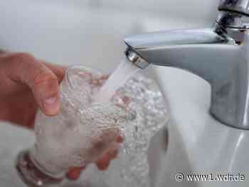 Bakterien im Trinkwasser von Wesseling