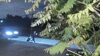Police release video of vehicles in area before fatal hit and run in Vaughan