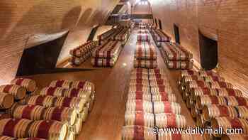 The £4million wine heist: Connoisseur gang steal 30,000 bottles of vino in Italy's biggest vineyard theft